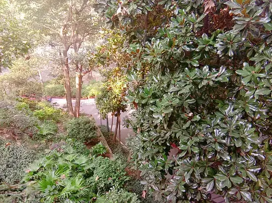 Чунцин: Chenyi Hotel Chongqing Chuanwai