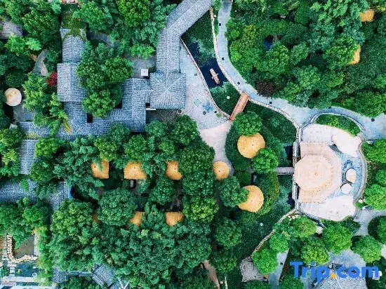 Линьи: Guantang Hot Spring (International) Resort