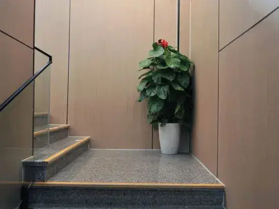 Шанхай: Jingjing Hostel