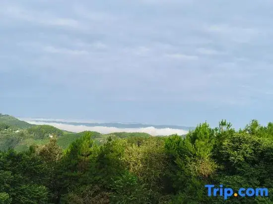 Чунцин: Senlin Renjia Hotel