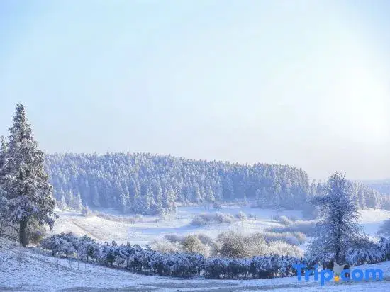Чунцин: The Joya Hotel