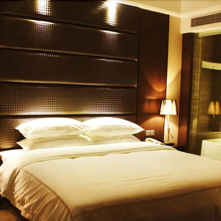 Дунгуань: Perfect Hotel
