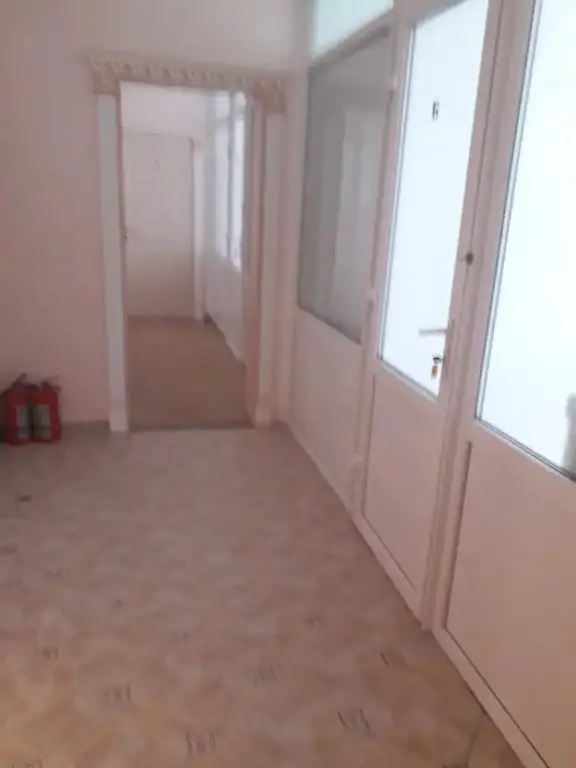 Москва: Fikus Hostel