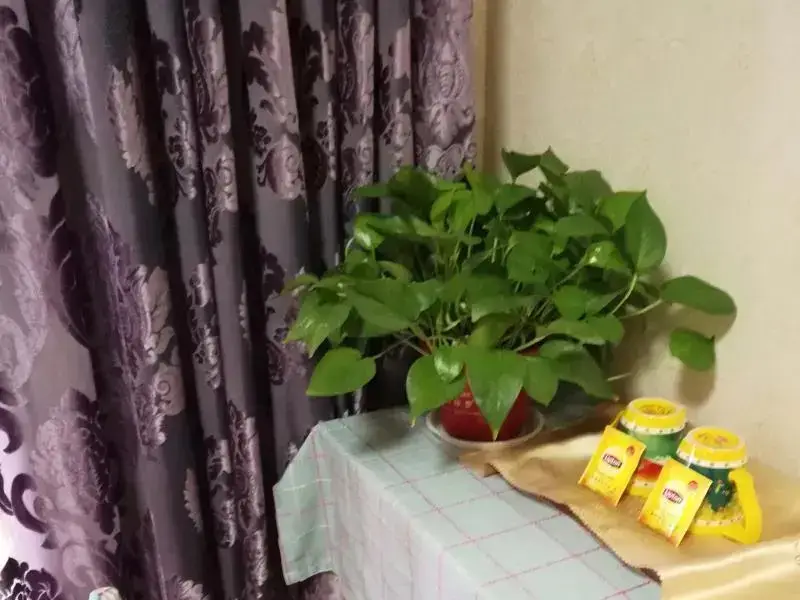Сиань: Xian Wisteria Lane Sunny Guest House