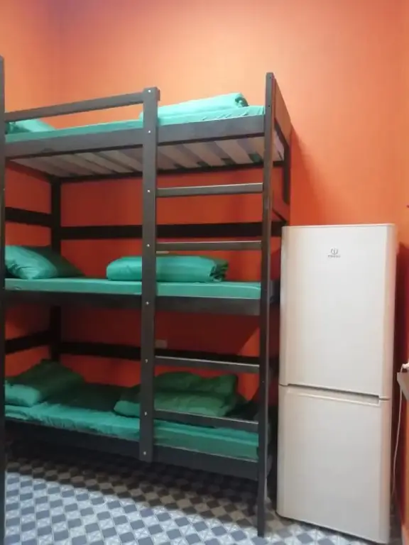 Москва: Vezhlivyij Los na Savelovskoj Hostel