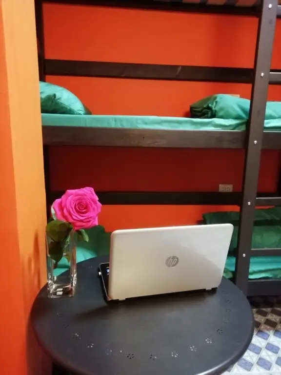 Москва: Vezhlivyij Los na Savelovskoj Hostel