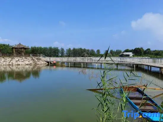 Ухань: Dragon Bay Peninsula Resort Liangzi Lake Wuhan