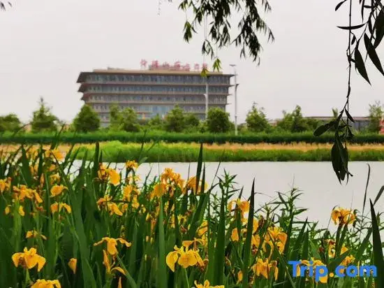 Цзинань: Shungeng Manor Ecological Park