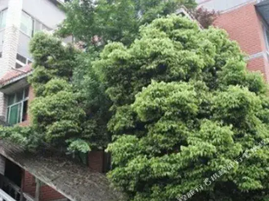 Чунцин: Jinquan Hostel
