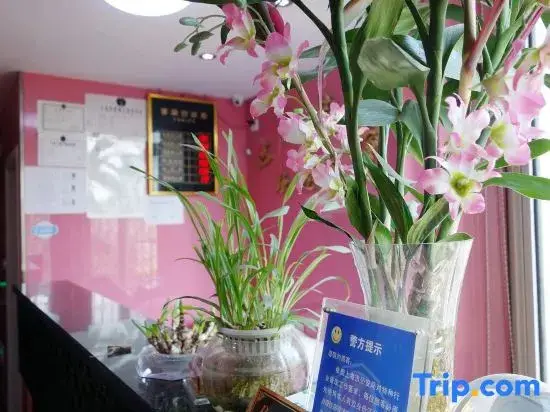 Шанхай: Xinyu Hostel