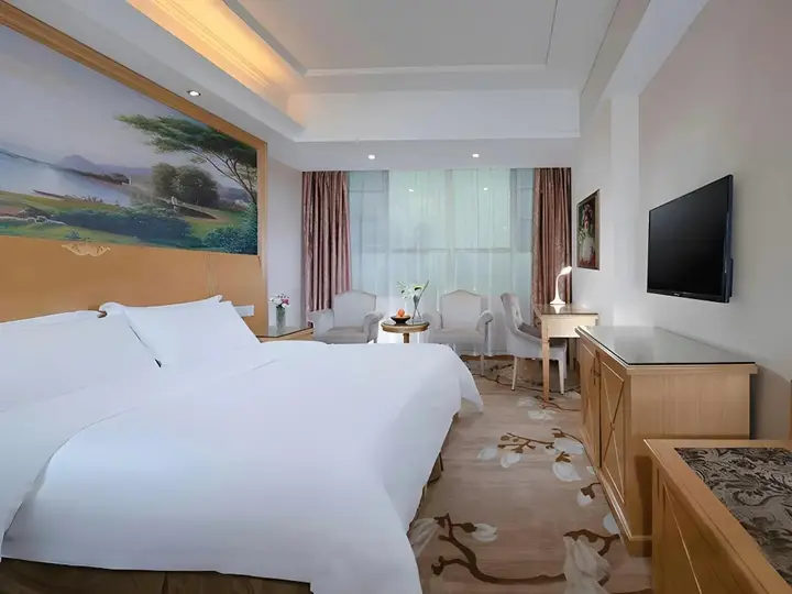 Дунгуань: Vienna Hotel