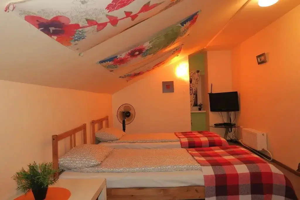 Санкт-Петербург: Roof Hostel