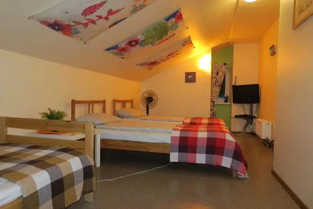 Санкт-Петербург: Roof Hostel