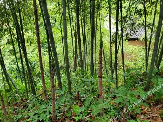 Шиянь: Wudang Mountain Xianyuan Farmhouse