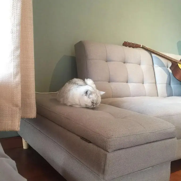 Пекин: Ginger Guest House