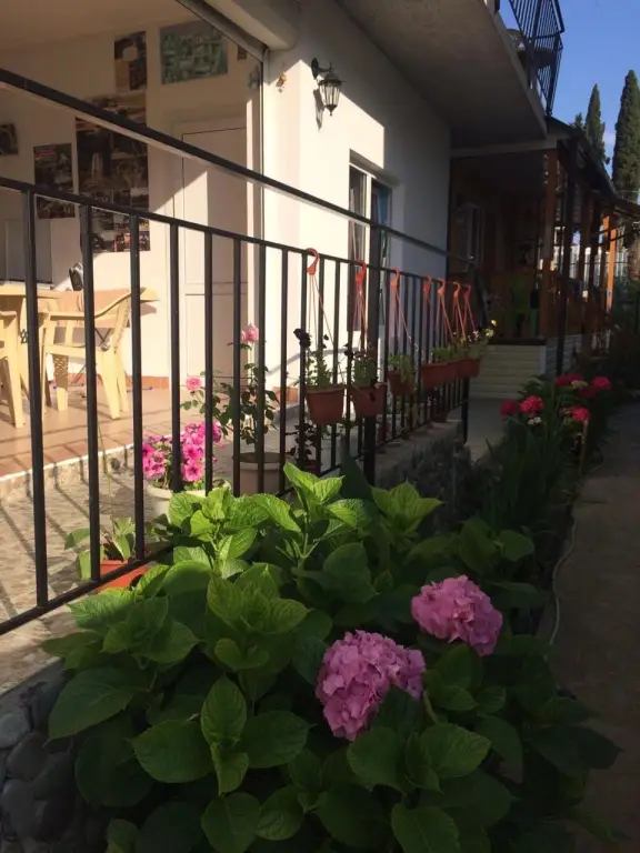 Сочи: Гостевой дом Бережок
