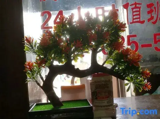 Нанкин: Tianyin Hotel