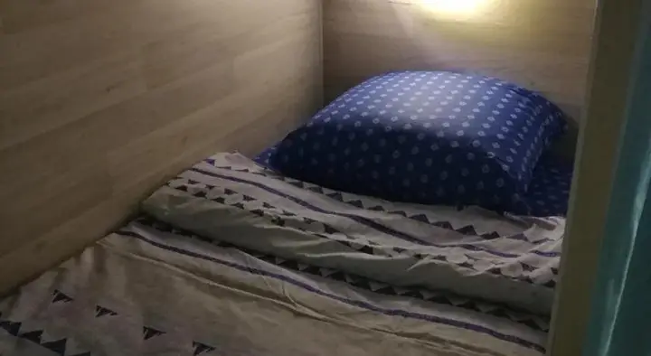 Санкт-Петербург: Green Cat Hostel