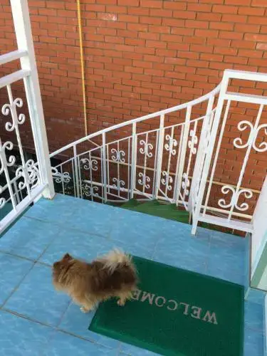 Анапа: Nadezhda Guest House
