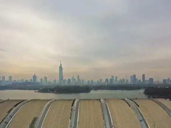 Нанкин: Nanlin Hotel