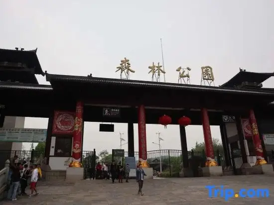 Ухань: Wuhan 188 Guangguhuake