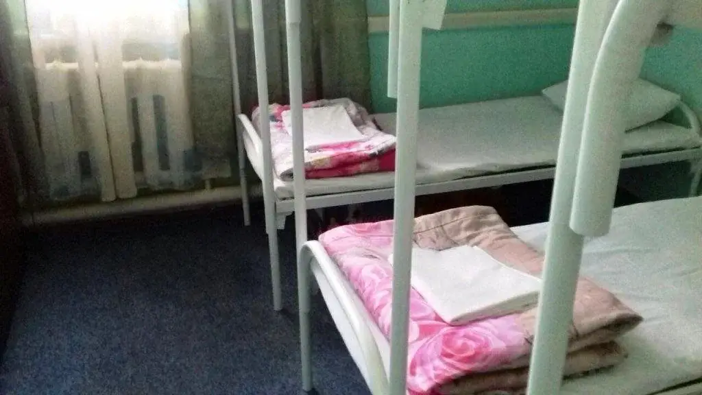 Москва: Hostel Gnezdo Kashirskoe