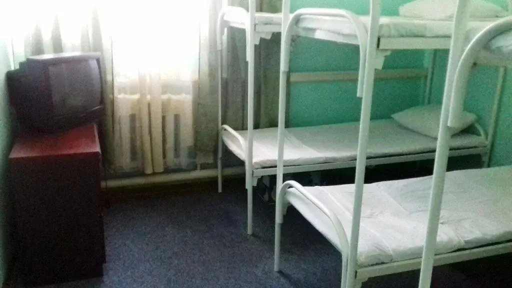 Москва: Hostel Gnezdo Kashirskoe