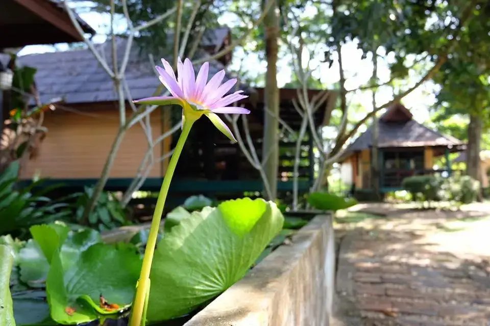 Ла-Нгу: Baan Lalita Resort