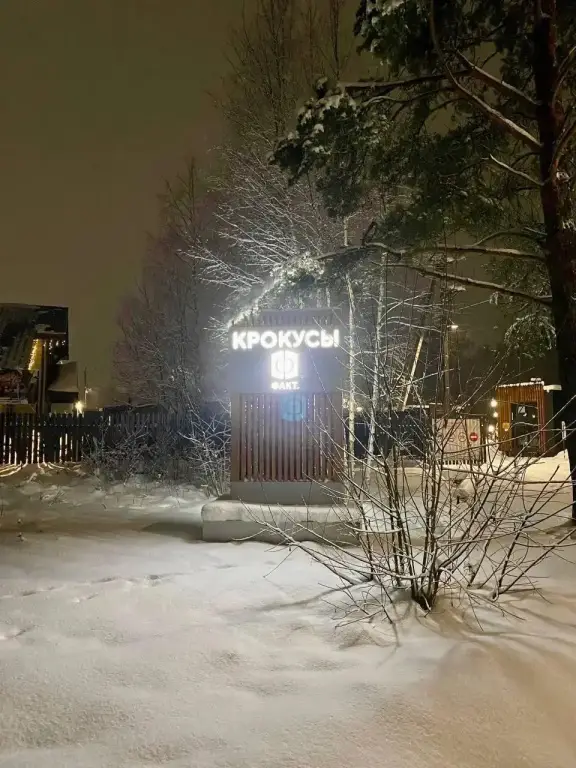 Санкт-Петербург: Гармония отдыха