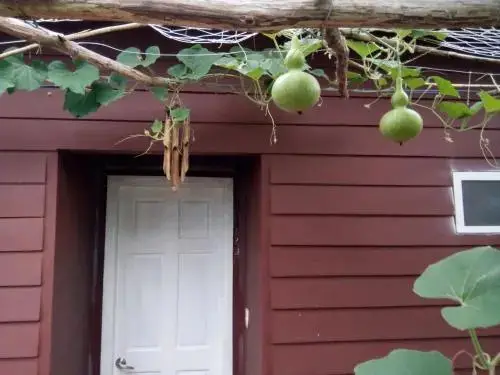 остров Фукуок: Seaside Homestay