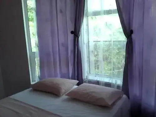 Сочи: Guest House on Proxladniy