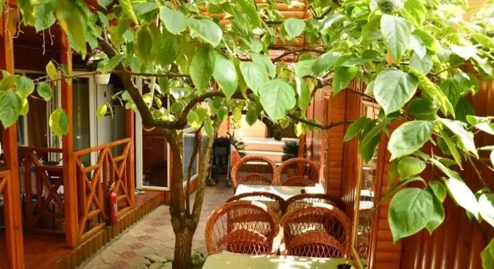 Алушта: Mini Hotel Teremok