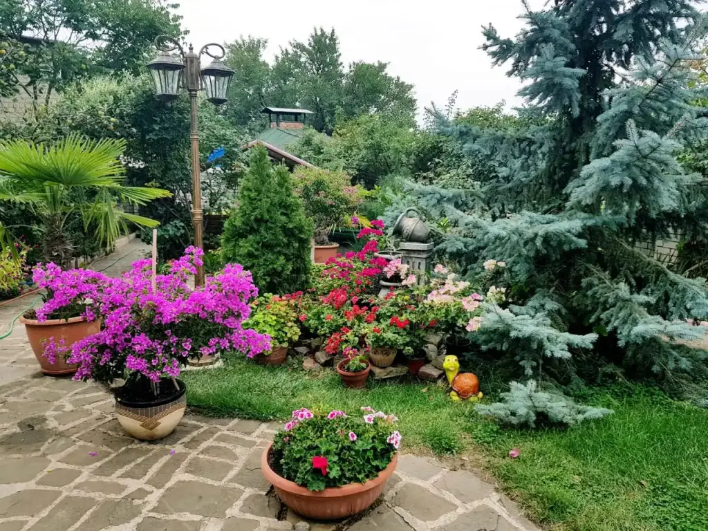 Гостевой Дом Крым — фото 1