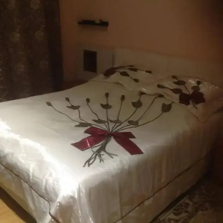 Санкт-Петербург: Mini Hotel Sportivnoy