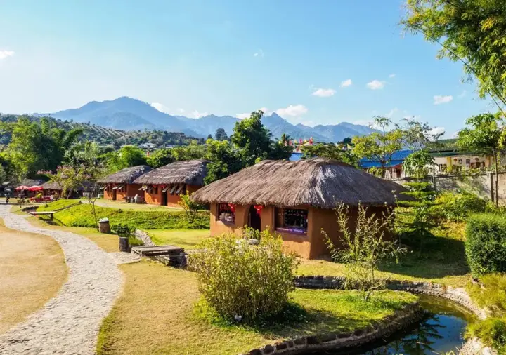 Паи: Butterfly Homes
