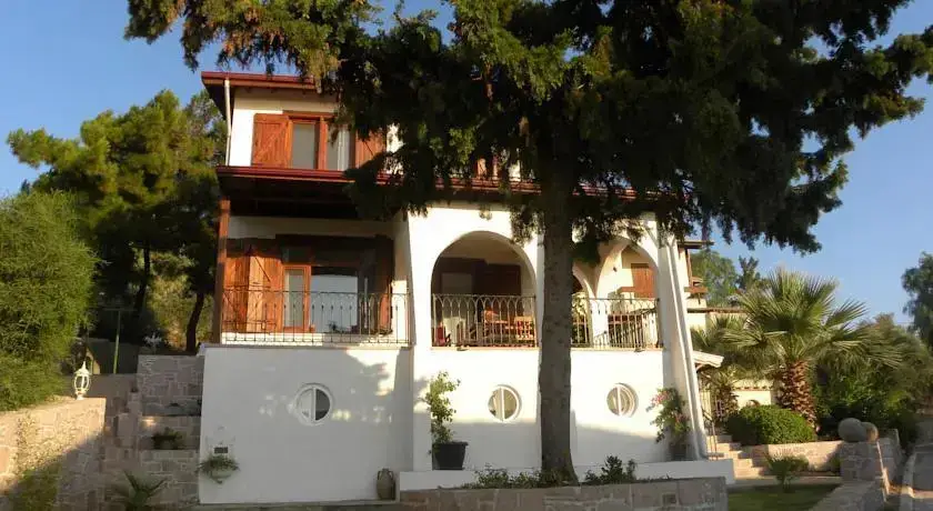 Villa Doga — фото 1