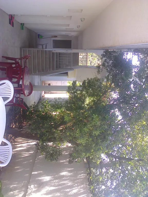 Приветное: Zelenyij Luch Guest House