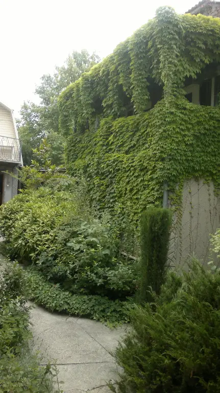 Севастополь: Irina Guest House