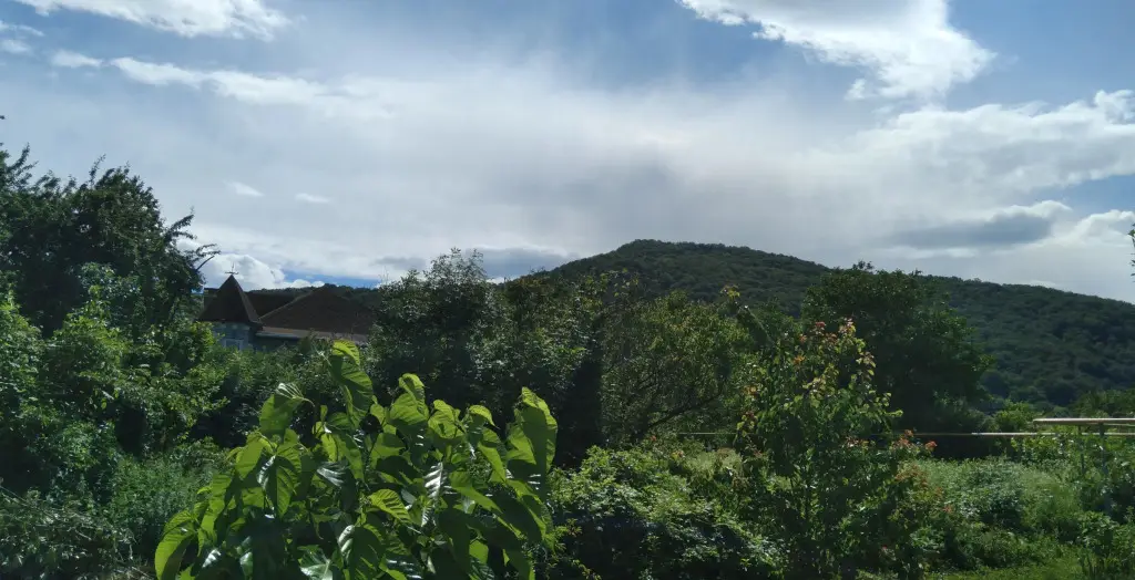Каменномостский: Chetyire Sezona Guest house