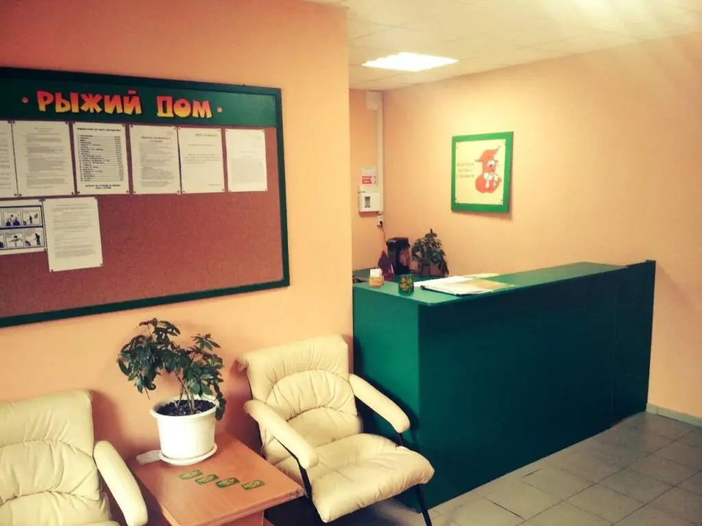 Красноярск: Рыжий дом