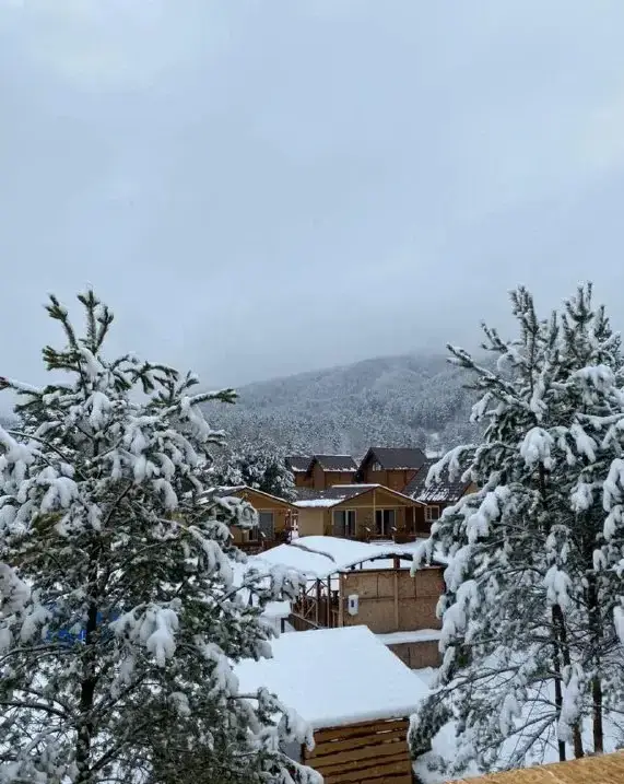 Barangol: Гостевой дом Malina Village
