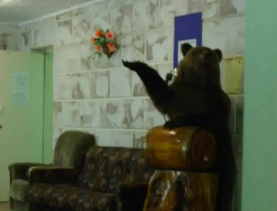 Сыктывкар: FGBOU IPKK APK RK Hostel