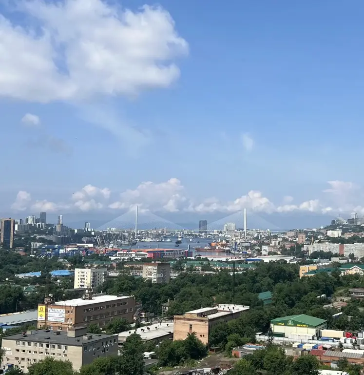 Владивосток: Квартира с видом на Золой рог
