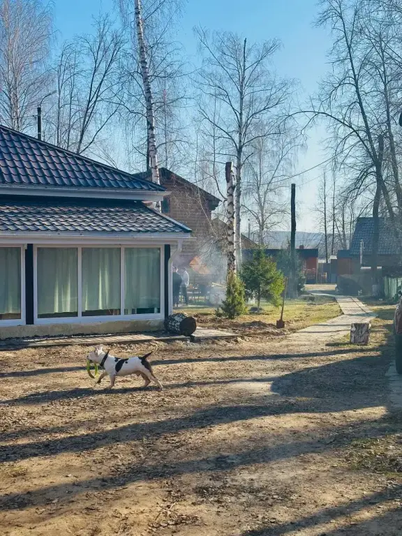 База отдыха Чайка — фото 1