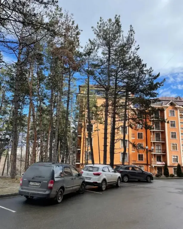 Кисловодск: Apartments on Parkovaya street 1