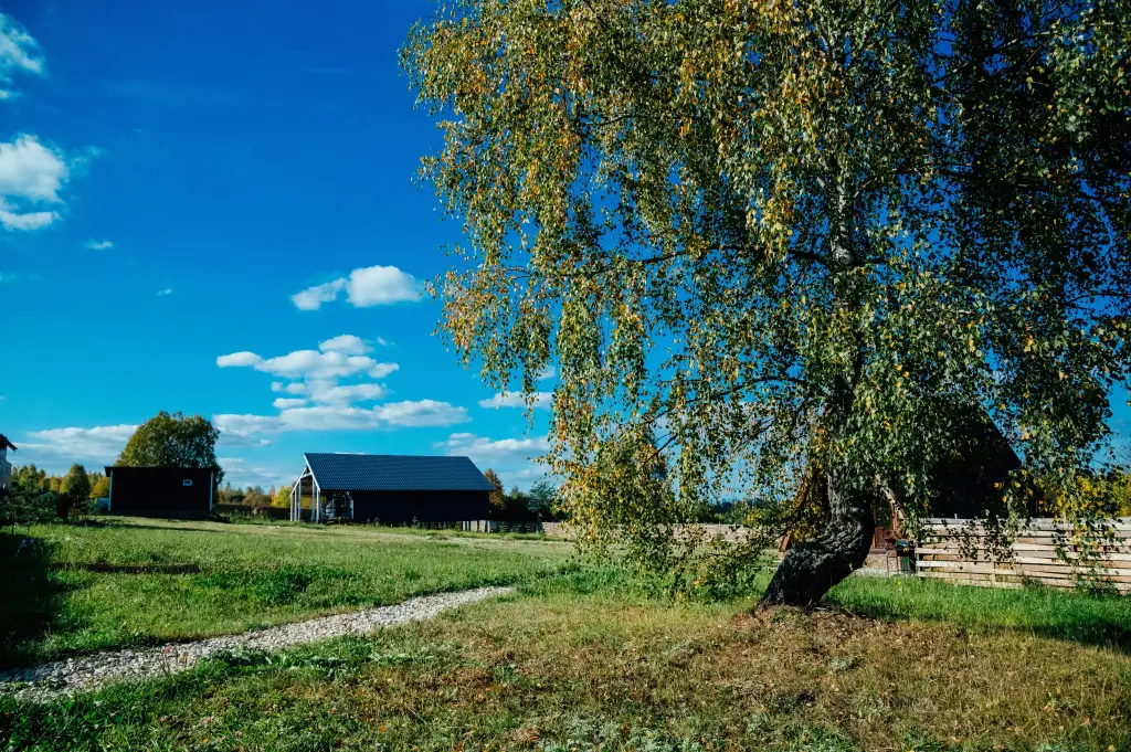 Некрасово: Гостевой дом Добрый Дом 71