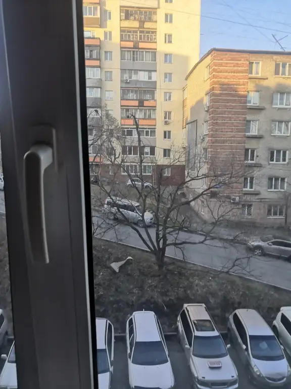Владивосток: Квартира Уютная