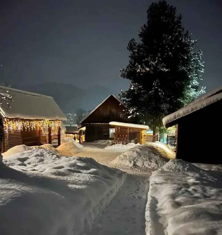 База отдыха Алтай — фото 1