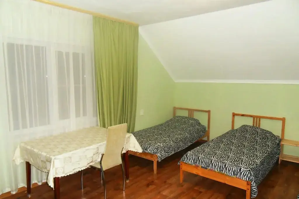 Сочи: Kujbyisheva 36 Hostel