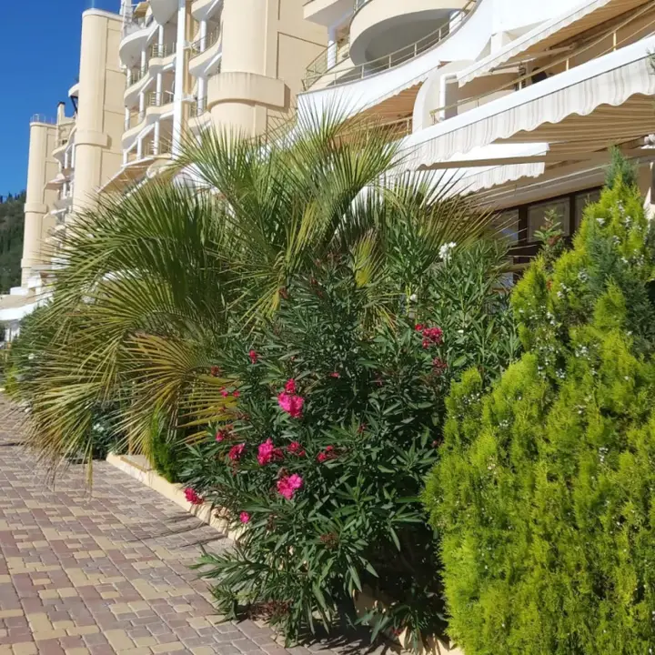 Лазурное: Premera Krim Maliy Mayak Apartments